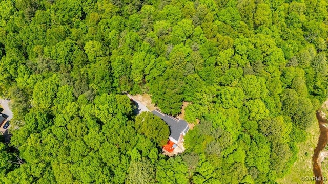 12601 W Patrick Henry Rd, Ashland, VA 23005 - photo 47