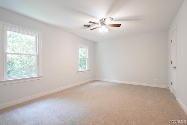 12601 W Patrick Henry Rd, Ashland, VA 23005 - photo 34