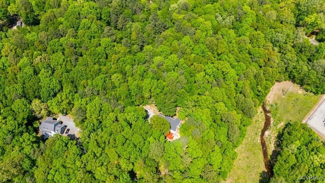 12601 W Patrick Henry Rd, Ashland, VA 23005 - photo 45