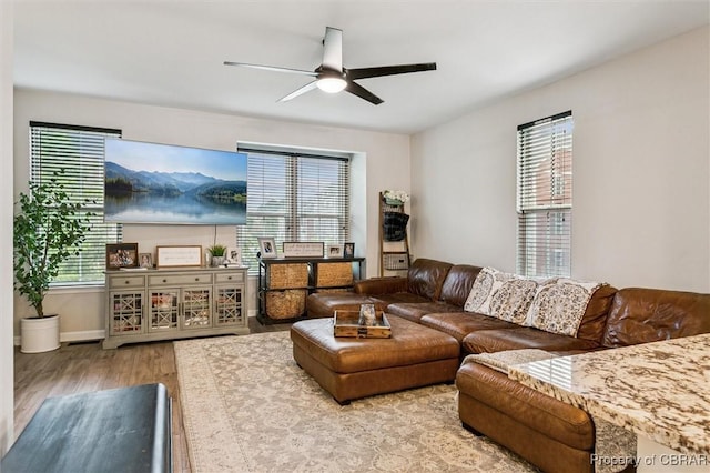 4217 Pillar, Williamsburg, VA 23188 - living area with a ceiling fan, wood finished floors, and healthy amount of natural light