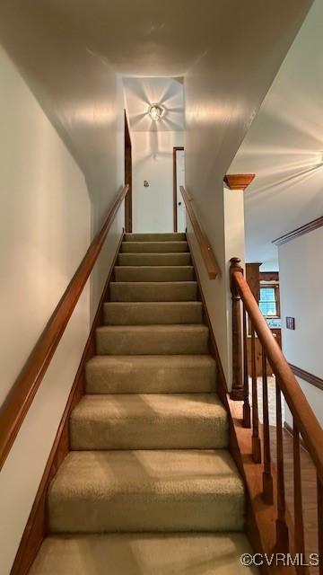 1625 King William Woods Rd, Powhatan, VA 23113 - photo 19
