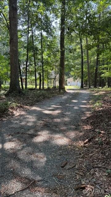 1625 King William Woods Rd, Powhatan, VA 23113 - photo 41