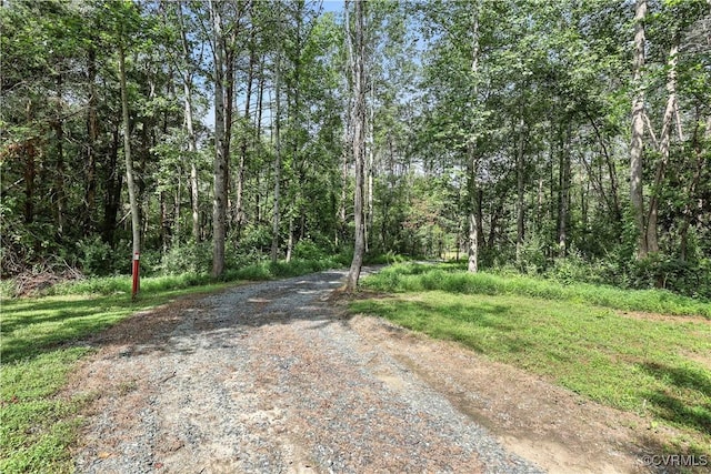 42 Mt Elba Rd, Cumberland, VA 23038 - photo 9