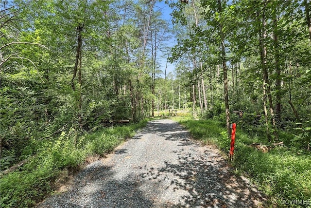 42 Mt Elba Rd, Cumberland, VA 23038 - photo 10