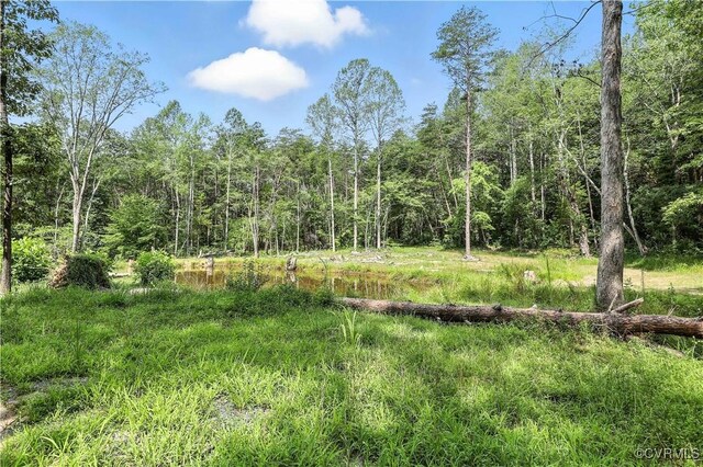 42 Mt Elba Rd, Cumberland, VA 23038 - photo 11