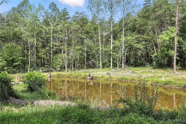 42 Mt Elba Rd, Cumberland, VA 23038 - photo 12