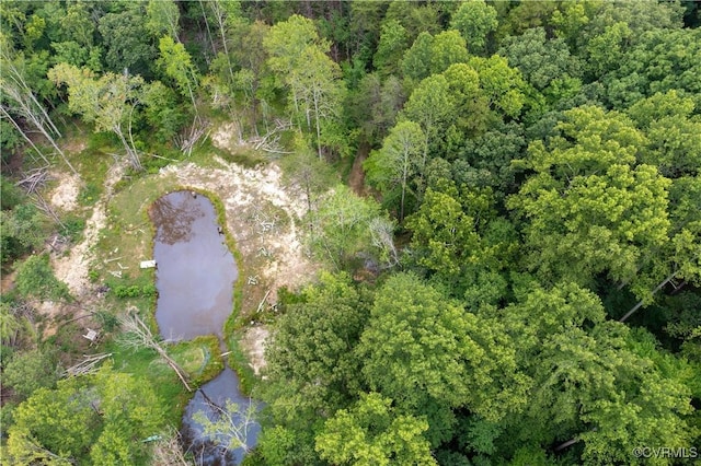 42 Mt Elba Rd, Cumberland, VA 23038 - photo 42
