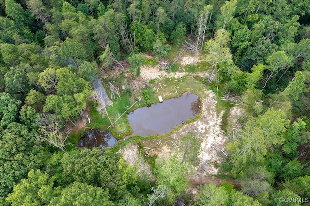 42 Mt Elba Rd, Cumberland, VA 23038 - photo 43