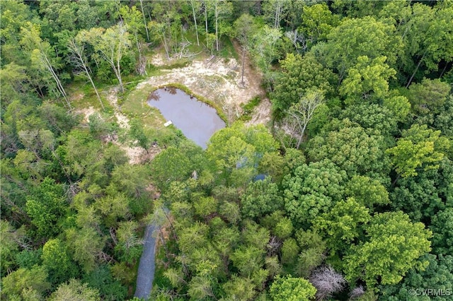 42 Mt Elba Rd, Cumberland, VA 23038 - photo 40