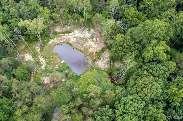 42 Mt Elba Rd, Cumberland, VA 23038 - photo 41