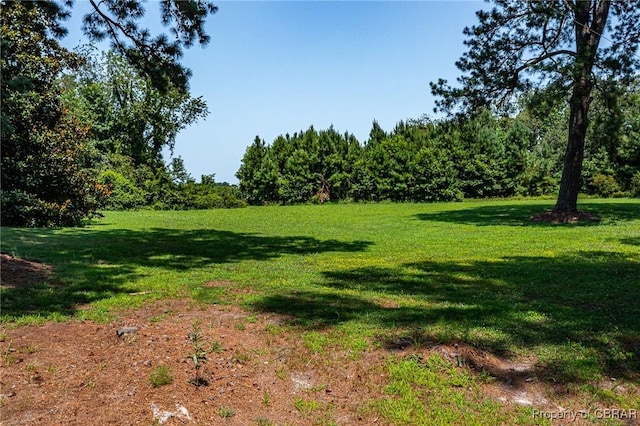 2 Harveys Neck Rd, Heathsville, VA 22473 - photo 11