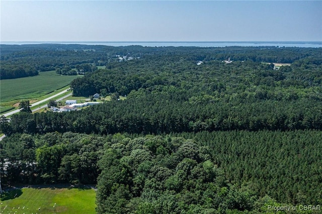 66 E Mary Ball Rd, White Stone, VA 22578