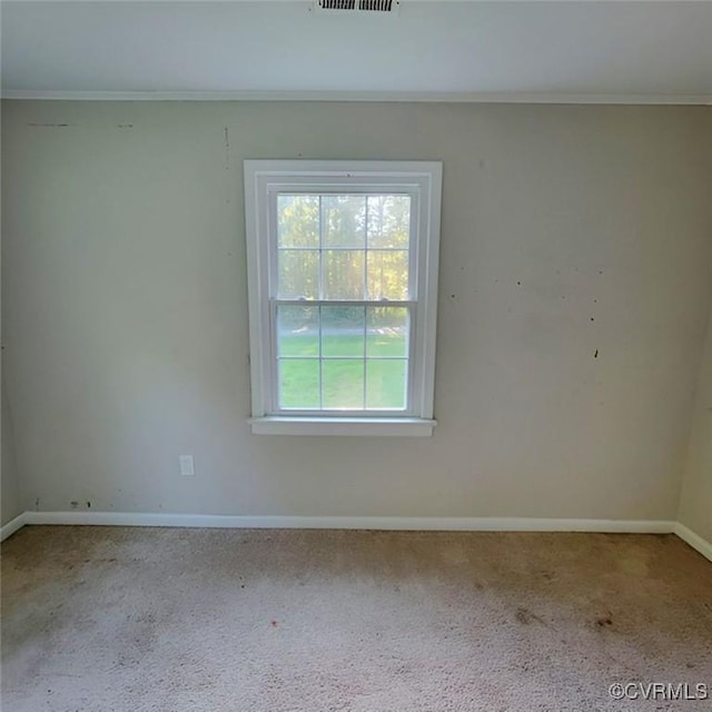 846 Borden Rd, Bumpass, VA 23024 - photo 4