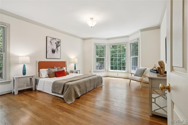 2019 Hornes Lake Rd, Williamsburg, VA 23185 - bedroom with multiple windows, wood finished floors, and ornamental molding