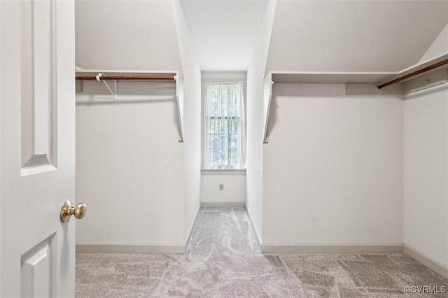 2019 Hornes Lake Rd, Williamsburg, VA 23185 - walk in closet featuring carpet