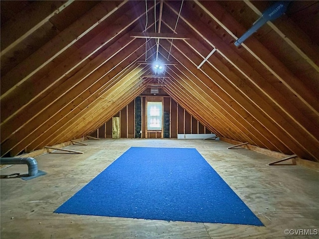 2019 Hornes Lake Rd, Williamsburg, VA 23185 - view of attic