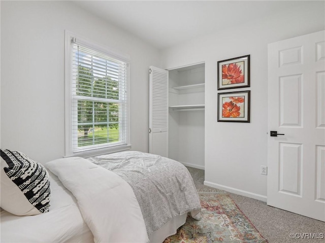 1517 Honor Dr, Henrico, VA 23228 - photo 20