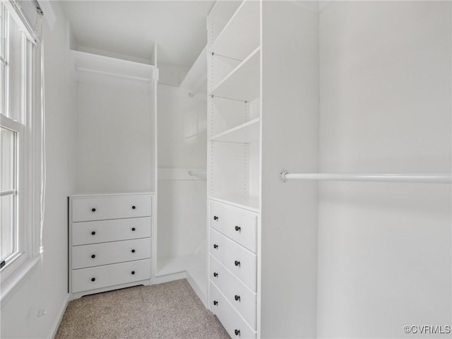 1517 Honor Dr, Henrico, VA 23228 - photo 14