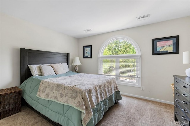 14715 Boyces Cove Dr, Midlothian, VA 23112 - carpeted bedroom featuring baseboards