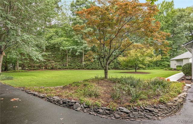 10598 Lambeth Rd, Glen Allen, VA 23060 - view of grassy yard