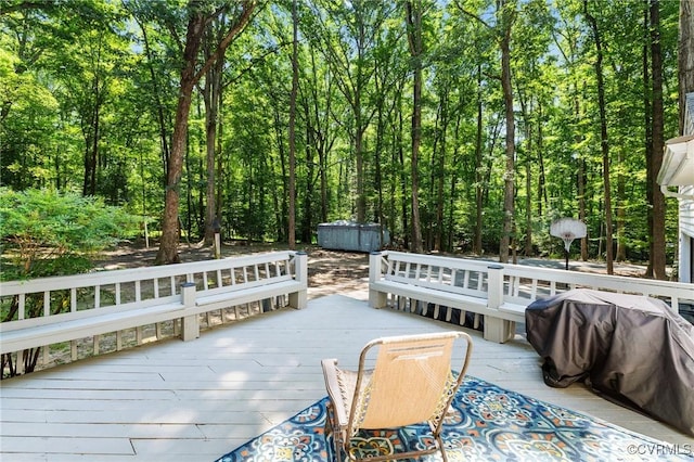 221 Farnham Dr, North Chesterfield, VA 23236 - photo 29