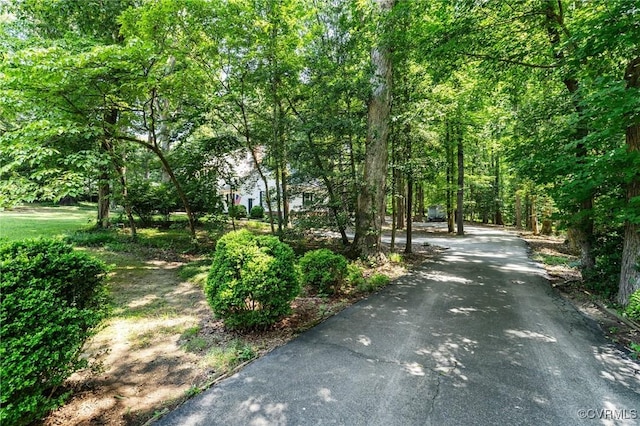 221 Farnham Dr, North Chesterfield, VA 23236 - photo 36