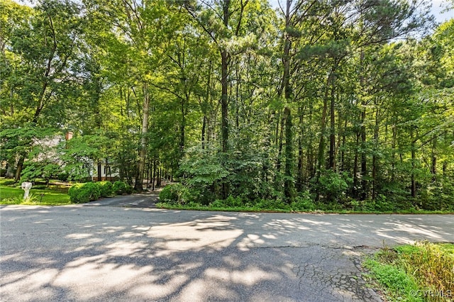 221 Farnham Dr, North Chesterfield, VA 23236 - photo 37