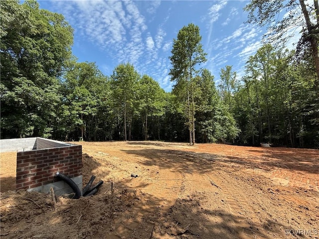 431 Raleigh Ave, South Hill, VA 23970 - photo 19