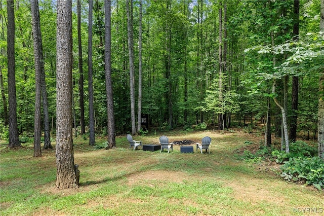 6097 Preakness Stakes Ln, Powhatan, VA 23139 - photo 31