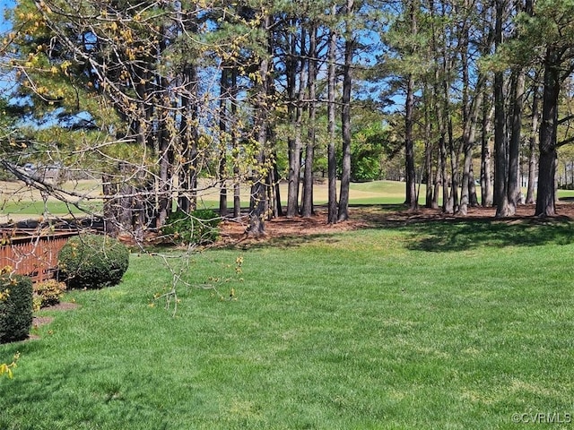 5908 Dominion Fairways Ct, Glen Allen, VA 23059 - view of green lawn