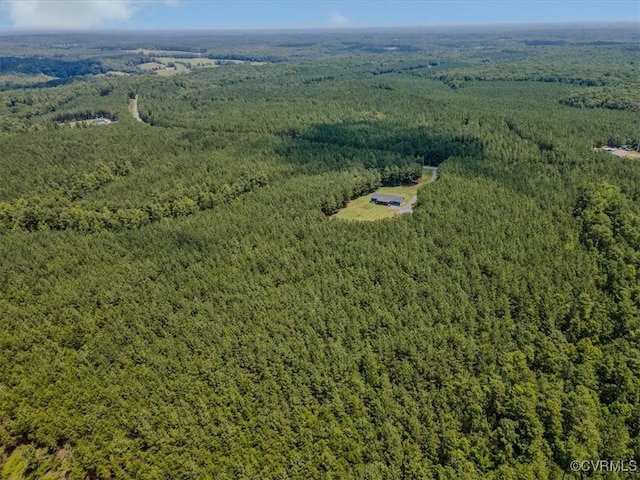 601 Middle Fork Rd, Palmyra, VA 22963 - photo 24