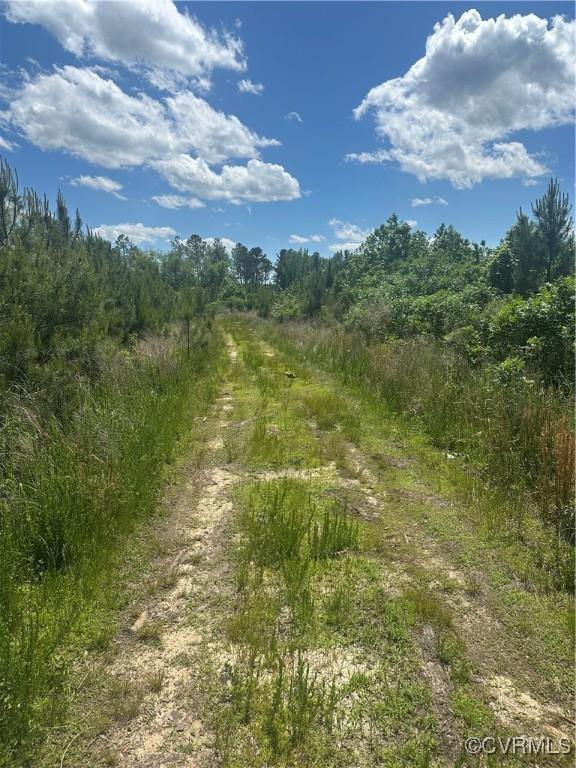 0 Stanley Rd, Gasburg, VA 23857 - photo 3