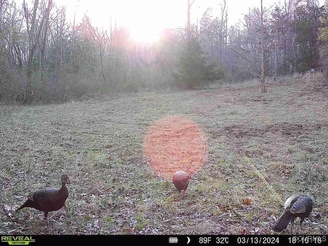 Listing photo - caption unavailable