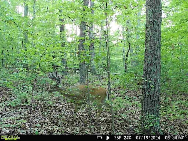 Listing photo - caption unavailable