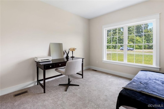 9461 Wickham Crossing Way, Ashland, VA 23005 - photo 4