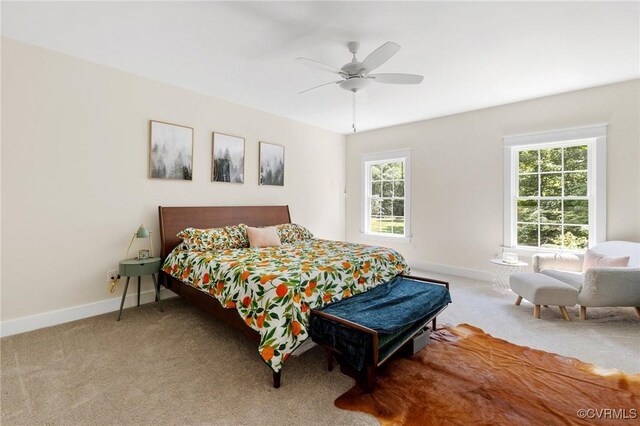 9461 Wickham Crossing Way, Ashland, VA 23005 - photo 16