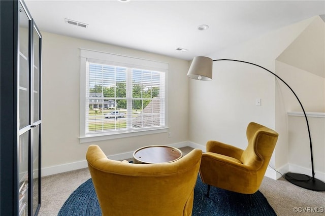 9461 Wickham Crossing Way, Ashland, VA 23005 - photo 27