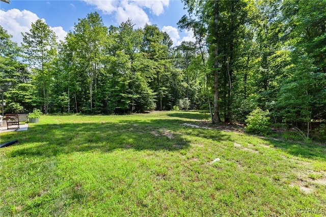 9461 Wickham Crossing Way, Ashland, VA 23005 - photo 32