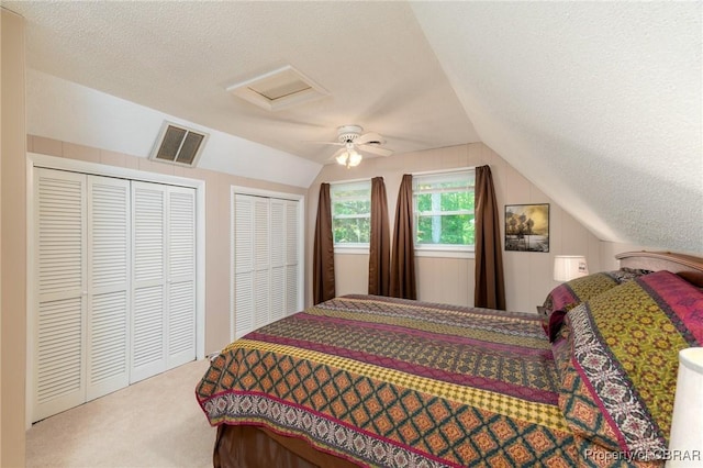 844 Rocky Point Lndg, Cobbs Creek, VA 23035 - bedroom featuring a textured ceiling, carpet flooring, vaulted ceiling, two closets, and attic access