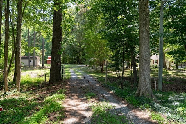 844 Rocky Point Lndg, Cobbs Creek, VA 23035 - view of dirt / gravel road