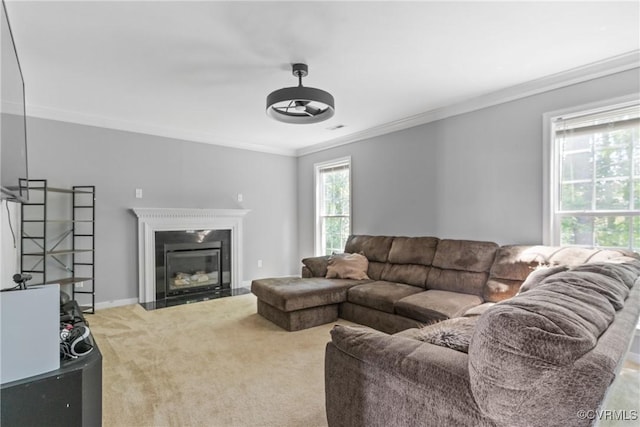 3741 Greer Ave, Richmond, VA 23234 - photo 10