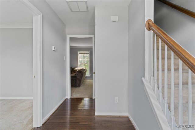 3741 Greer Ave, Richmond, VA 23234 - photo 4