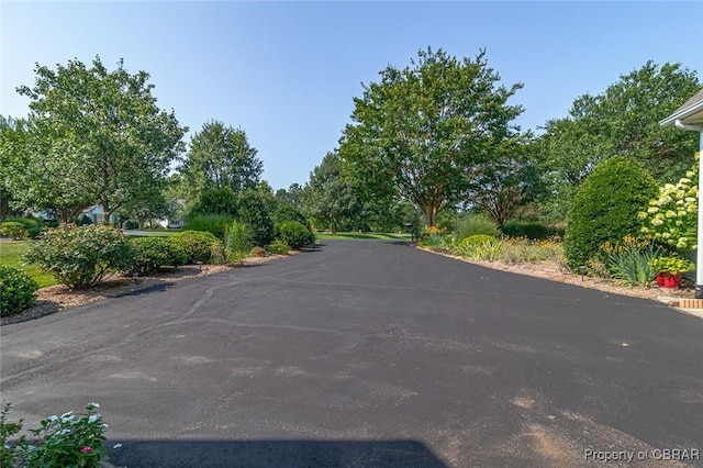 41 Mercers Way, Irvington, VA 22480 - photo 45