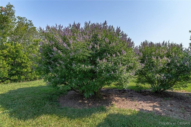 41 Mercers Way, Irvington, VA 22480 - photo 47