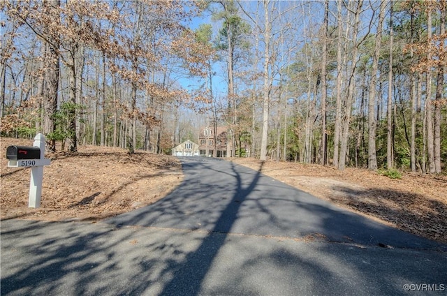5190 Danes Run, Hanover, VA 23111 - photo 3