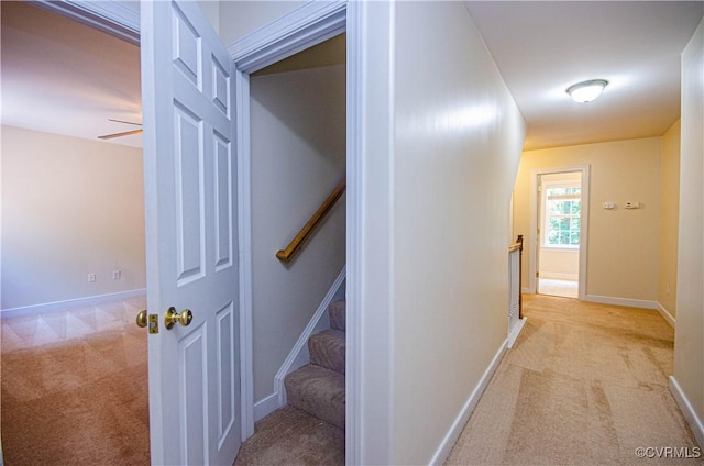 5190 Danes Run, Hanover, VA 23111 - photo 42
