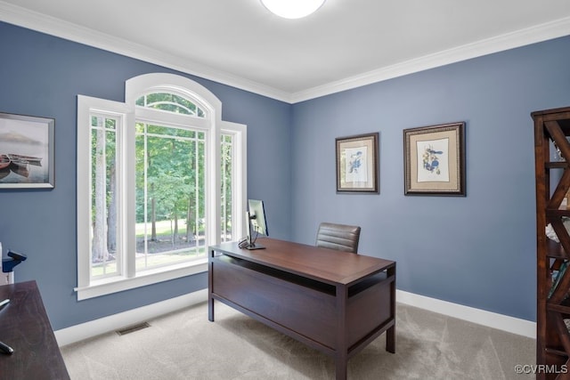 2432 Gammons Creek Dr, Maidens, VA 23102 - carpeted office featuring crown molding and baseboards