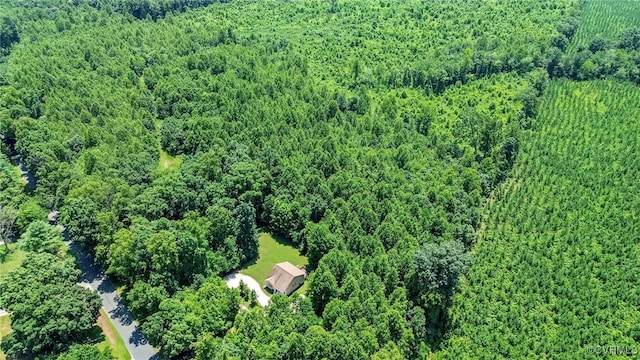 5016 Gravel Hill Rd, Dillwyn, VA 23936 - photo 4