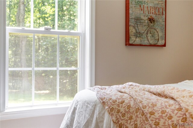 5016 Gravel Hill Rd, Dillwyn, VA 23936 - photo 26