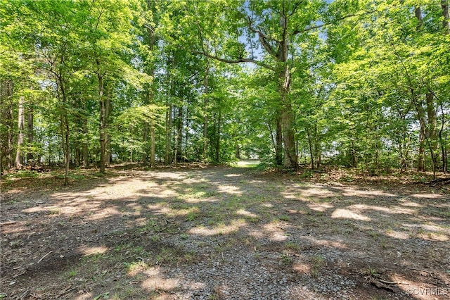 5016 Gravel Hill Rd, Dillwyn, VA 23936 - photo 45